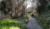 Trail Walking Vernazza - RA 2019 Cinque Terre Corniglia Vernazza - Photo 12