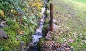 Trail Walking Sewen - Graber Novembre 23 - Photo 3