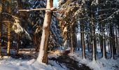 Tour Wandern Stoumont - balade hivernale avec Rantanplan  - Photo 5