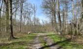 Randonnée Marche Compiègne - en forêt de Compiègne_48_sur les Routes de la Mariolle et du Grand Veneur - Photo 3