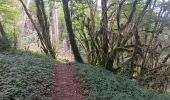 Tour Wandern Matafelon-Granges - les 2 vallées sous la mousse ... - Photo 8