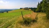 Trail On foot Olešnice v Orlických horách - [Ž] Číhalka - Olešnice v Orl. h. (nám.) - Olešnice v Orl. h. (CZ/PL) - Photo 4