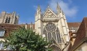 Tour Wandern Auxerre - Auxerre - Photo 12