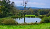 Trail Walking Philippeville - Balade de Roly à Villers-en-Fagne - Photo 20