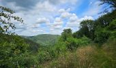 Trail Walking Vianden - 2023-06-19_15h21m20_eislek-pad-vianden-1 - Photo 8