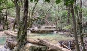 Trail Walking Nans-les-Pins - Source de l’huveaune - Photo 6