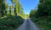 Randonnée Marche Fleury - en Forêt de Retz_92_05_2022_Rond d'Orléans_Chapeau des Cordeliers_la Laie des étangs de Longpont - Photo 12