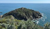 Randonnée  La Croix-Valmer - La Croix Valmer - Cap Lardier - Photo 3