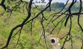 Tocht Stappen Stoumont - rando la gleize 20/05/2021 - Photo 7