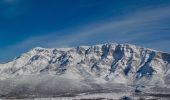 Tour Zu Fuß Unknown - planinarska staza Mirkovići - Brezovac - Photo 10