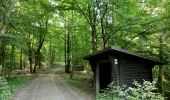 Trail On foot Wirsberg - Schmetterlingsweg KU 11 - Photo 1