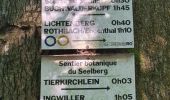 Trail Walking Rothbach - Lichtenberg - Photo 2