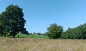 Percorso Marcia Villers-le-Bouillet - gotroul . merexhe . doyard . champia . antheit . gotroul - Photo 9