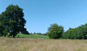 Tocht Stappen Villers-le-Bouillet - gotroul . merexhe . doyard . champia . antheit . gotroul - Photo 9