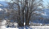Excursión Raquetas de nieve Demi-Quartier - Montée chalet de la Vielle-Beauregard-la Ravine. Descente Fouettaz - Photo 7