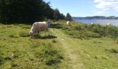 Percorso Marcia Naussac-Fontanes - Lac de Naussac (05 07 2020) - Photo 4