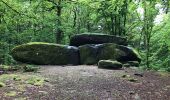 Tocht Stappen Gouloux - Croix Grenot Dolmen Chevresse - Photo 2