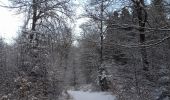 Tour Wandern Libramont-Chevigny - Marche ADEPS 10km100 à Freux - Photo 6