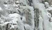 Tour Wandern La Valla-en-Gier - Le saut du gier gelé  - Photo 1