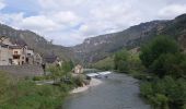 Trail Walking Massegros Causses Gorges - GR DE PAYS Causse Mejean et Gorges du Tarn  - Photo 14