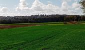 Tour Wandern Brissac-Loire-Aubance - St Saturnin  - Photo 13