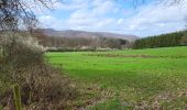 Randonnée Marche Manhay - Deux Rys 120423 - Photo 3