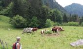 Tocht Stappen Bellecombe-en-Bauges - BAUGES: CRET DU CHAR... avec montée par le Golet de Doucy - Photo 5