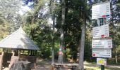 Tour Wandern Reinhardsmünster - table des Géants  - Photo 5