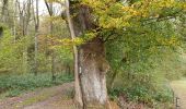 Randonnée Marche Havelange - La balade du Chêne au Gibet - Photo 2