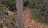Randonnée Marche Bagnols-en-Forêt - Blavet - Photo 5