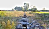 Tocht Te voet Ameglia - Anfiteatro Di Luni – Tenuta di Marinella – Fiumaretta - Photo 3