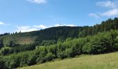 Excursión A pie Hallenberg - Hallenberger Wanderrausch - Photo 1