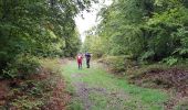 Excursión Marcha nórdica Prades-d'Aubrac - SityTrail - Sentier thématique de Brameloup - Photo 14