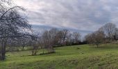 Trail Walking Aywaille - promenade aywaille 