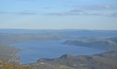 Percorso A piedi Enontekiö - Saana kesäreitti - Photo 1