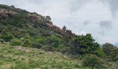 Tour Wandern Manso - Corse 2023: Tuvarelli - Sierrera - Photo 12