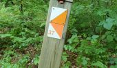 Trail Walking Saint-Martin-en-Vercors - orientation Roybon - Photo 4