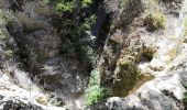 Trail Walking Joucas - Joucas - Les gorges de Véroncle - Photo 12