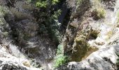 Excursión Senderismo Joucas - Joucas - Les gorges de Véroncle - Photo 12