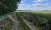 Percorso Mountainbike Auvers-Saint-Georges - Auvers saint Georges - Photo 3