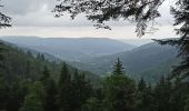 Trail Walking Vecoux - 07-06-21 Reherrey- chalet des meules- col de xiard- chalet de l'avuxon- source chaude - Photo 6