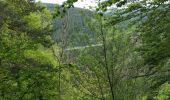 Trail Walking Saint-Maurice-de-Lignon - saint Maurice de Lignon Grazac - Photo 9