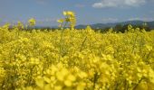 Excursión A pie okres Prievidza - Náučný banský turistický chodník - Photo 10