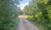 Randonnée Marche Coyolles - en Forêt de Retz_96_08_2025_autour de l'Enclave de Vauciennes - Photo 18