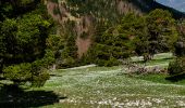 Trail Walking Saint-Agnan-en-Vercors - Plateau de Beure - Tête du Faisan - Photo 16