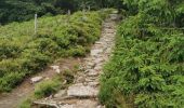 Tour Wandern Sulzern - lac vert, lac du forlet - Photo 9