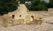 Excursión A pie Halle (Westf.) - Weg für Genießer - Halle-Borgholzhausen - Photo 8