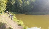 Tour Wandern Seraing - Balade du Val à Yvoz en forêt  - Photo 9