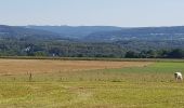 Randonnée Marche Ferrières - sy - Photo 1