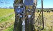 Randonnée Marche Houffalize - Engreux 070426 - Photo 4